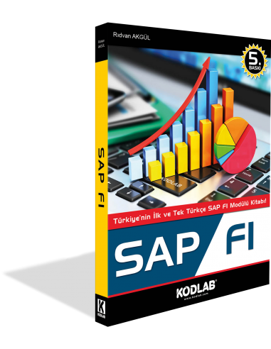 SAP FI EĞİTİM KİTABI