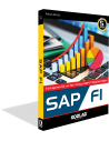 SAP FI EĞİTİM KİTABI