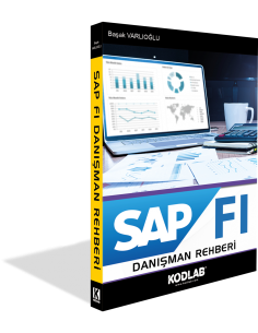 SAP FI DANIŞMANLIK REHBERİ