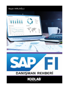 SAP FI DANIŞMANLIK REHBERİ